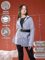 Рубашка &quot;Алгебра&quot; синяя полоса