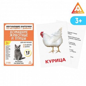 Обучающие карточки по методике Г. Домана «Домашние животные и птицы», 12 карт, А6