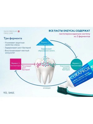 Зубная паста Enzycal 950, 75 мл. (Зубная паста Enzycal:- усиливает естественное защитное действие с, шт