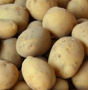 Картофель семенной Аризона (4кг) (Код: 90300)