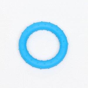 Игрушка жевательная суперпрочная "Кольцо", 8 см, синяя