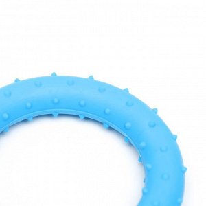 Игрушка жевательная суперпрочная "Кольцо", 8 см, синяя