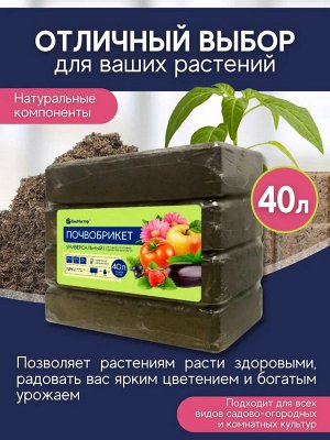 Почвобрикет Универсальный, 40л, БиоМастер