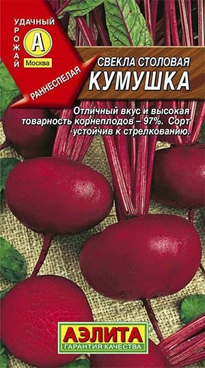 Свекла столовая Кумушка