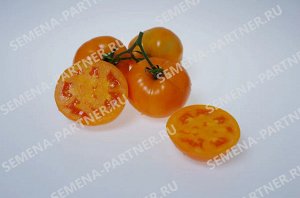 ПАРТНЁР Томат Сувенир F1 / Гибриды томата с желто - оранжевыми плодами