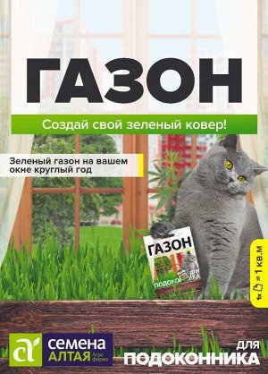 Газонная трава Для подоконника/Сем Алт/ 30 гр. НОВИНКА