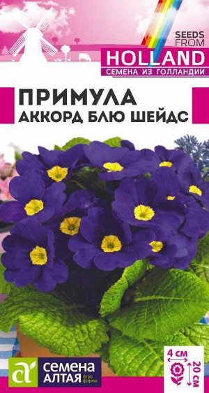 Примула Аккорд Блю шейдс/Сем Алт/цп 5 шт двулетник Голландия НОВИНКА