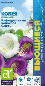 Кобея Кафедральные колокола Смесь Лазающая 5 шт Вьющиеся растения