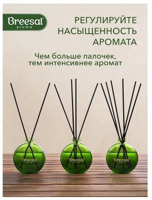 Breesal Декоративный ароматизатор Arome Sticks “Волшебство природы” ( жизн. энергия), 70мл