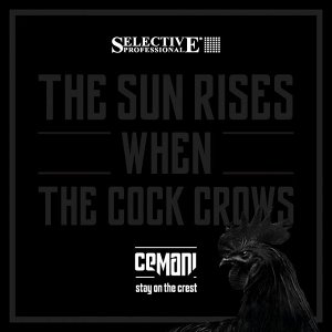 Гель для укладки волос 150мл со смываемым черным пигментом, Selective For man CEMANI Back to Black