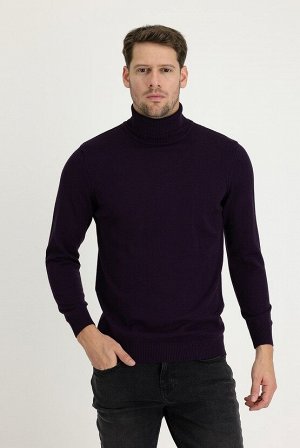 Приталенный трикотажный свитер с водолазкой цвета сливы и узором
