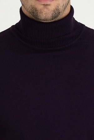Приталенный трикотажный свитер с водолазкой цвета сливы и узором
