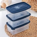 Набор контейнеров для заморозки продуктов, 3 шт, 1 л, прямоуг, пластик, прозрач, МОРОЗКО