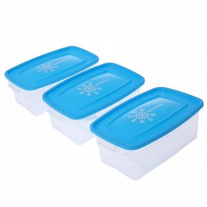 Набор прямоугольных контейнеров для замораживания продуктов «Морозко», 1 л , 3 шт, цвет МИКС
