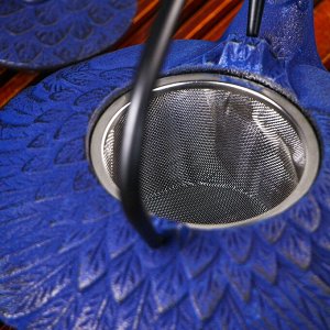 Чайник чугунный Доляна «Южная птица», 800 мл, с ситом, цвет синий