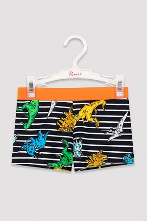 Красочный купальник для мальчика Dino Trunk