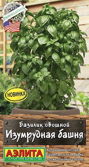Базилик Изумрудная башня (Код: 90522)