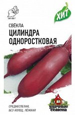 Свекла Цилиндра одноростковая ХИТ (Код: 90261)