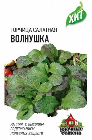 Горчица Волнушка ХИТ (Код: 90251)