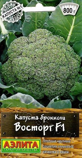 Капуста брокколи Восторг (Код: 90308)
