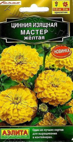 Циния Мастер Желтая (Код: 90363)