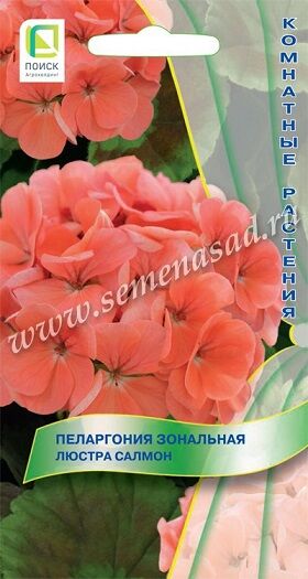 Пеларгония Люстра Салмон (Код: 90209)