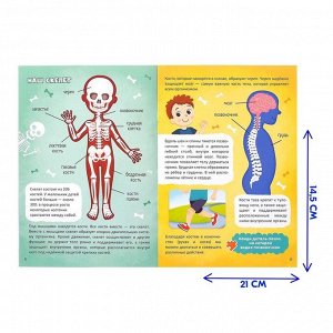 Набор «Моё тело»: мегапазл с обучающей книгой