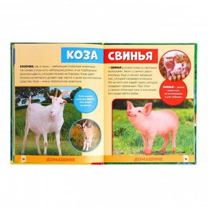 Фотоэнциклопедия для детей «В мире животных», 48 стр.
