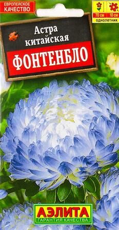 Астра Фонтенбло (Код: 7011)
