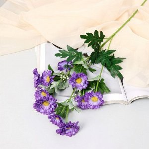 Цветы искусственные "Пижма девичья" 6х65 см, фиолетовый