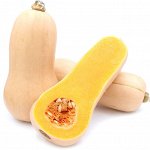 Семена Кабачок &quot;ОРЕХОВЫЙ&quot; ,1,5 гр