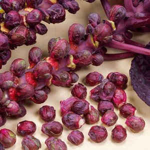 Семена Капуста Брюссельская "Рубиновые Бусы", 0,1 г