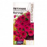 Семена цветов Петуния Суперкаскадная &quot;Бургунди&quot;, F1, 10 шт