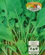 Семена Индау (Рукола) &quot;Акрополь&quot; культурная, скороспелая, орехово-горчичный вкус, 1 г