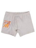 Трусы боксеры для мальчика Donella
