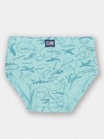 CWMB 10135-43 Трусы для мальчика,голубой