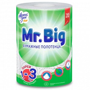 Полотенца бумажные Мягкий знак Mr Big, 2 слоя, 1 рулон
