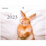 Календарь квартальный на 2023 г., 3 блока, 3 гребня, с бегунком, мелованная бумага, «BUNNY