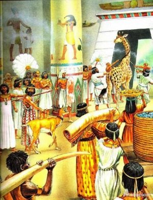 Сокровища Египта. Ключ времени