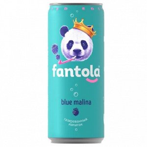 Напиток б/а сильногазированный "Fntola Blue Malina" 0,33л