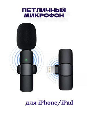 NEW ! Мини микрофон петличный для девайсов беспроводной Wireless Microphone iOS Android петличка c двумя микрофонами черный