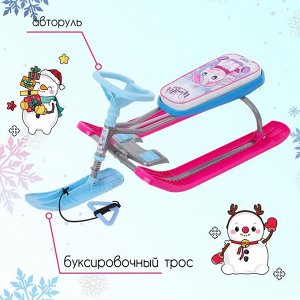Снегокат «Тимка спорт 2 Единорог», ТС2-М/ЕР, цвет сиреневый/серый/розовый