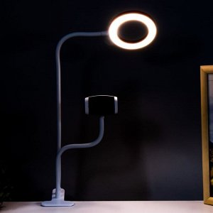 Настольная лампа Октопус LED USB розовый 11х63 см