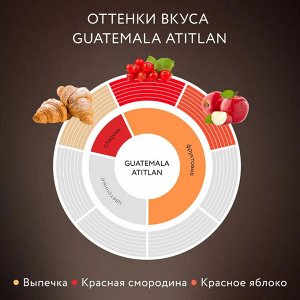 Кофе Жардин растворимый Гватемала Атитлан ст/б 95г. 1/12 , шт