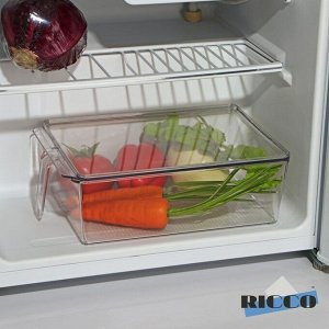 Контейнер для холодильника с крышкой и ручкой RICCO, 32х20,5х10 см, цвет прозрачный