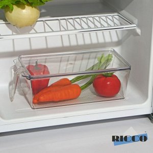 Контейнер для холодильника с крышкой и ручкой RICCO, 32х14,5х10 см, цвет прозрачный