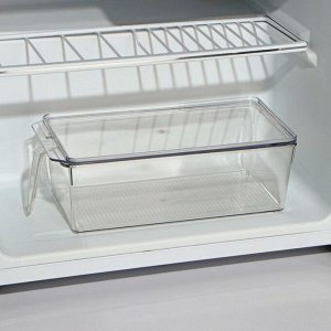 Контейнер для холодильника с крышкой и ручкой RICCO, 32?14,5?10 см, цвет прозрачный