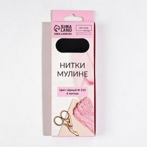 Нитки мулине, 8 ± 1 м, цвет чёрный №310