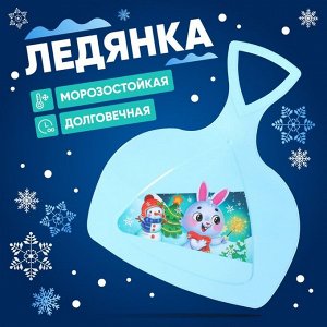 Соломон Ледянка «Новогодний заяц»