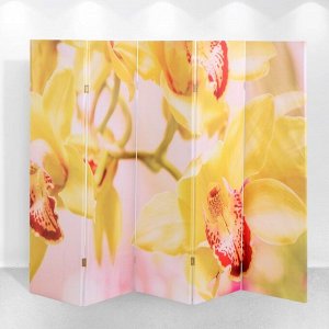 Ширма "Орхидеи", 250 х 160 см